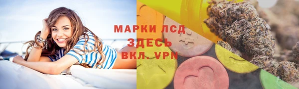 прущие грибы Верея